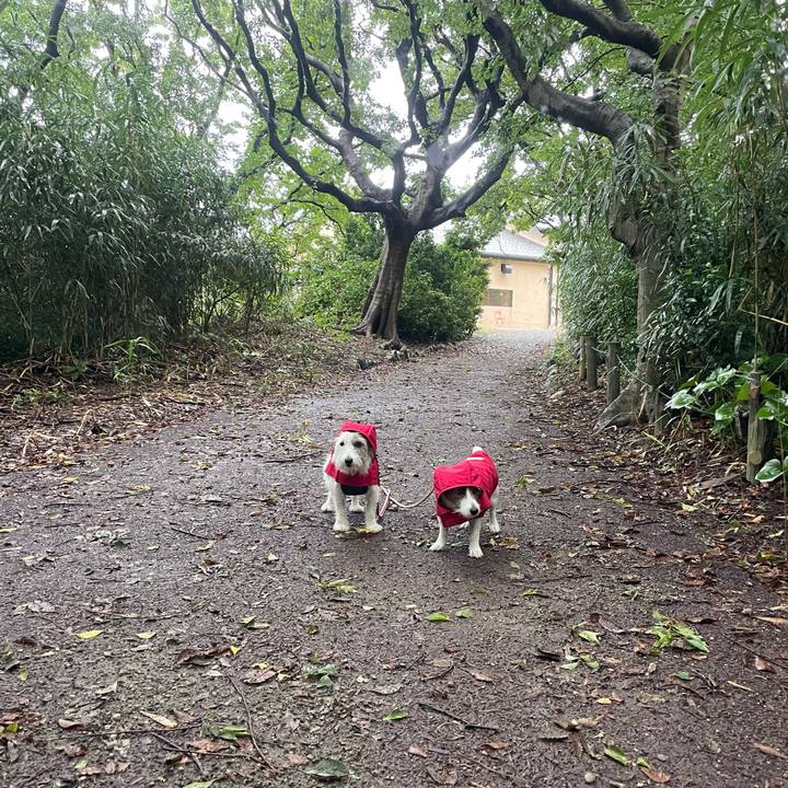 81eae4ef 2473 4044 a4d0 00c4cfc90e29 1728341098380