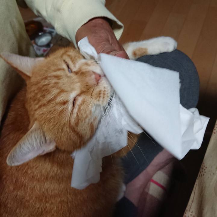 81eafefa b27f 435f b523 a4b7e10f8d53 1601029523608