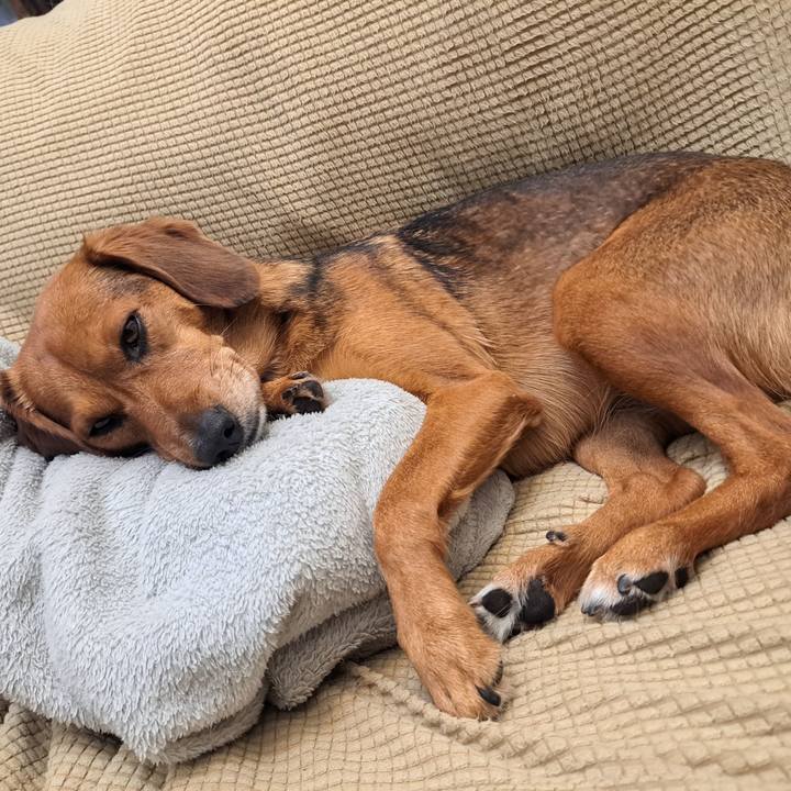 81eb419d ea6b 46b6 acb6 a27f3f5b4e5e 1763214326578