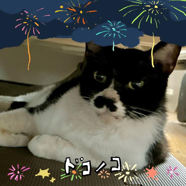 81eb4395 e9bb 4641 9376 e6f18e96f7d4 1723332567717