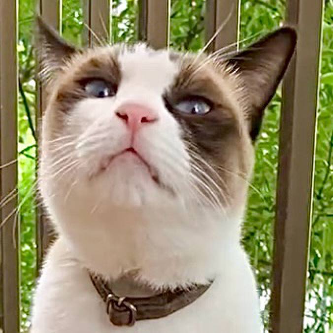 81eb70b0 54a7 4e9f 83c3 263d26020ade 1729835433602