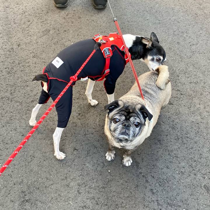 81eb9f3e 1681 4cfd a138 f46139b16d52 1619041115617