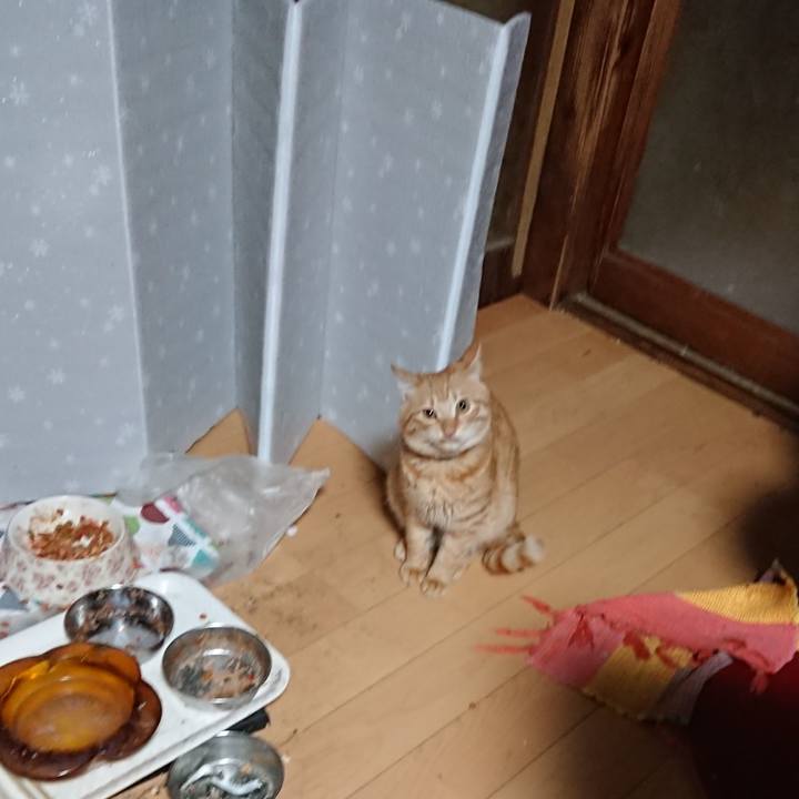 81ebe841 ff7f 4d14 853d 24d23c77ce2c 1638999563334