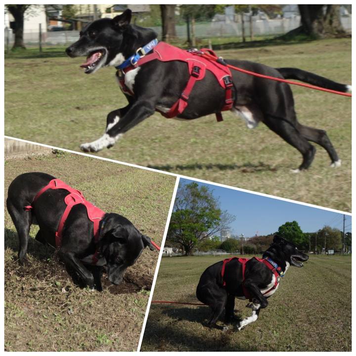 81ec09c5 f35a 4858 98e6 5892363d55b5 1681005373388