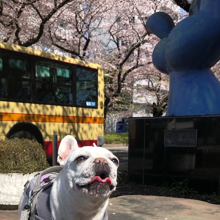 81ec0d64 c23a 48c8 a455 6f7bcd38e212 1680344156784