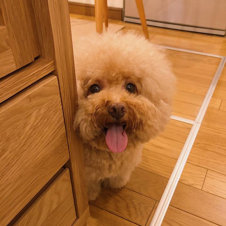 81ec6094 a804 44a1 a8bc 85f97938e76b 1564963819332