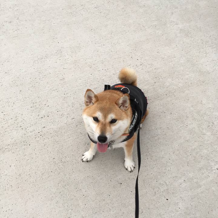 81eca683 a554 479b b28a 9824a3f04326 1530867625438