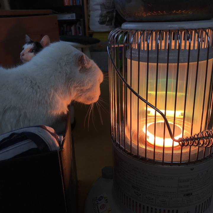 81ed03f1 b121 4c53 8075 50726412725f 1544503037087