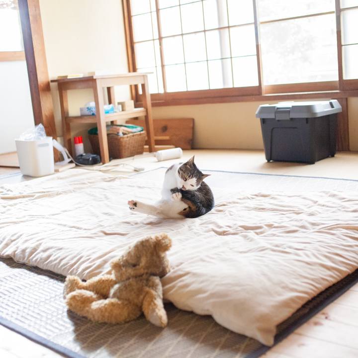 81ed1e18 96c4 4249 aa9e a28b966db562 1562586918841