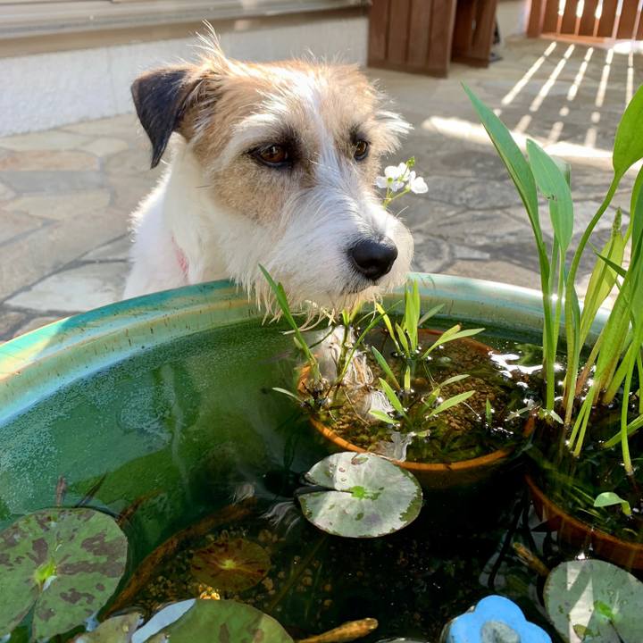 81ed4292 26ac 409f 915d 64703634f25c 1653870683673