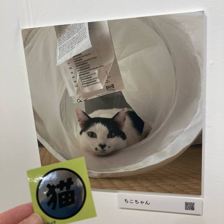 81ed471a c755 451b 94eb 662986871ddd 1761890560705