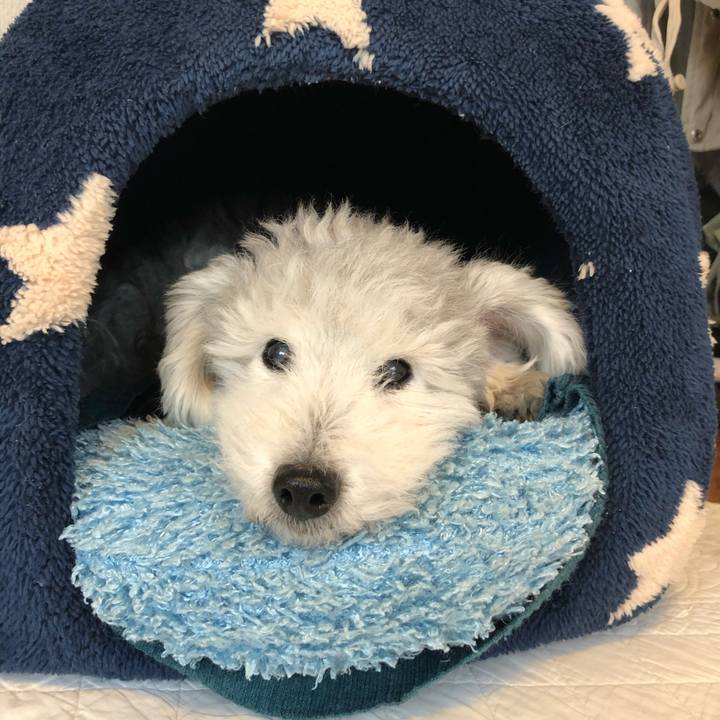 81edb4a5 89f8 488a ab8b d410e5e0c658 1603065803957