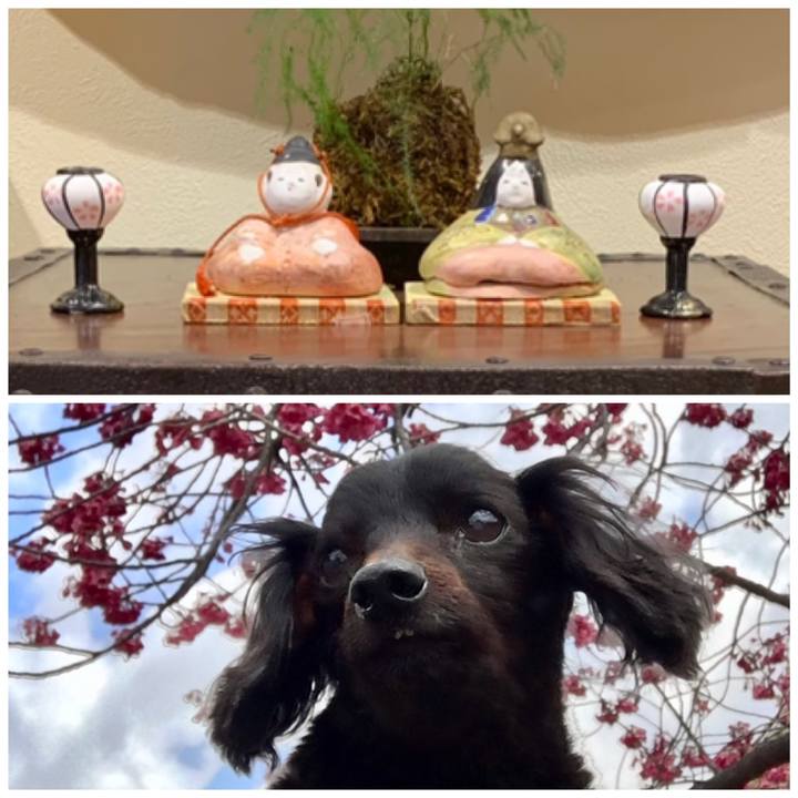 81edc7ff 44ac 46f0 ba29 6190c5b46d87 1709434437168