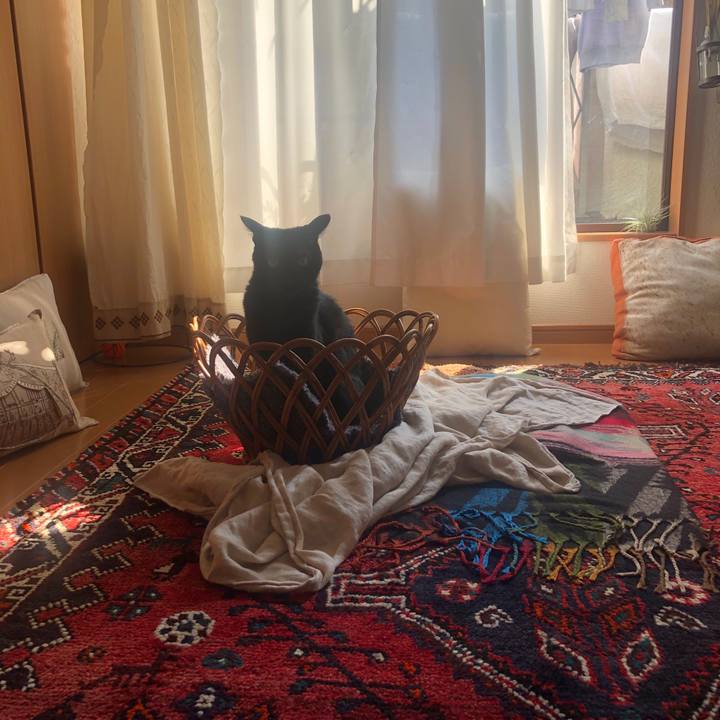 81edcb06 50e8 4bdf bd77 a1bf92d5c494 1586393095695