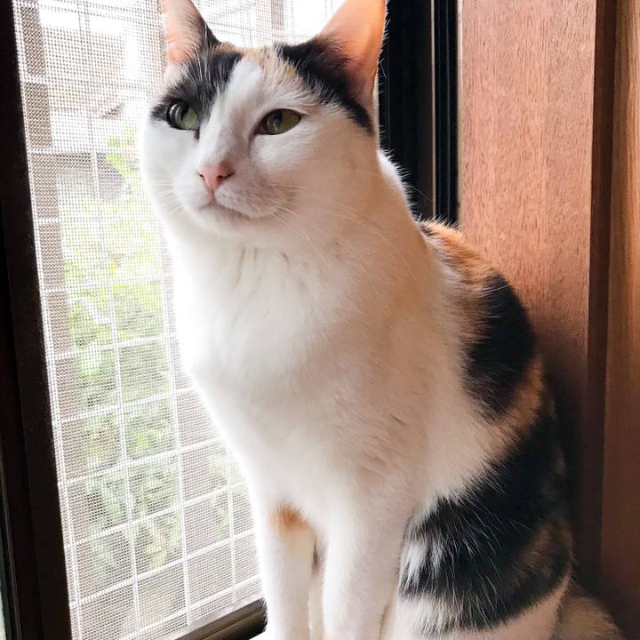 81edce0a 3e26 40fc 8247 d4ae9172114d 1525445162610