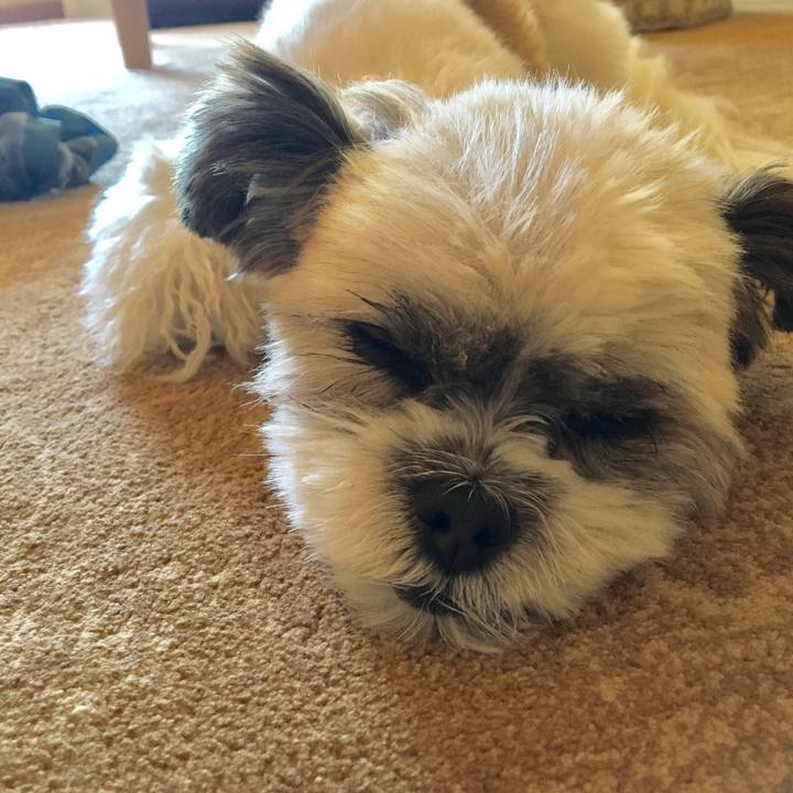 81edd0dd cdfc 4b30 b125 29732e574299 1508735048398