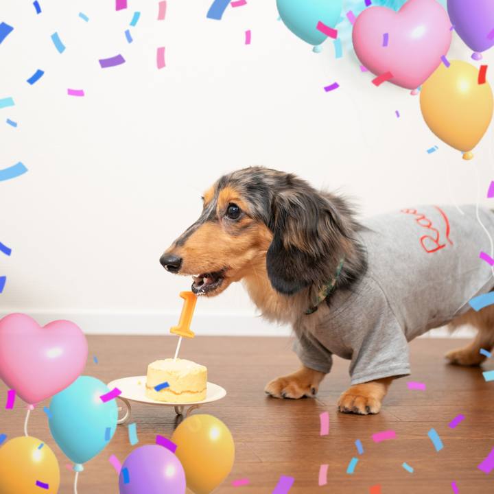 81ee2500 1405 44fd bbe9 08c12827712c 1729683132279