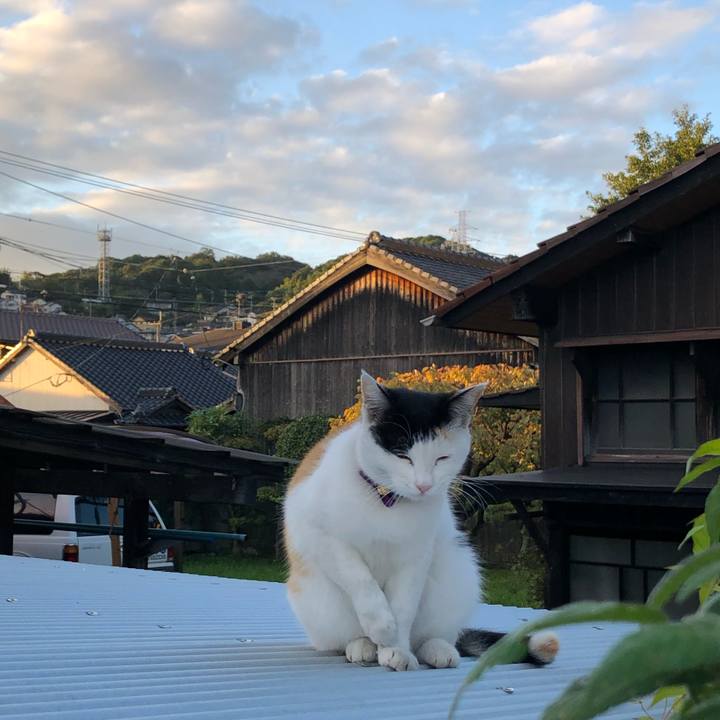 81ee4629 a0ce 4416 8005 8733bc3fccdb 1635459182614