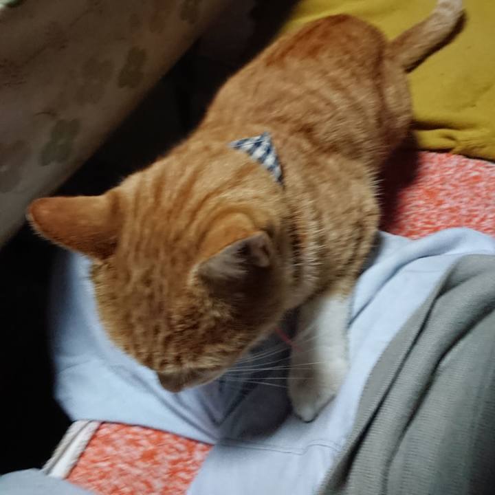 81ee81ad cf40 4ace a8a0 5f1368b939c8 1571219362767