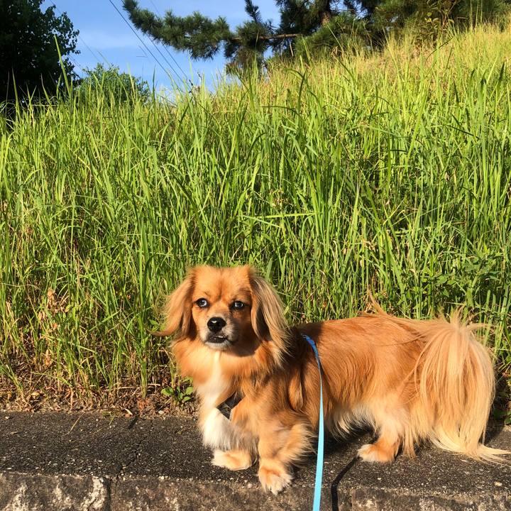 81eeb630 21ab 4fb5 97e4 e31e09b03153 1534548079797