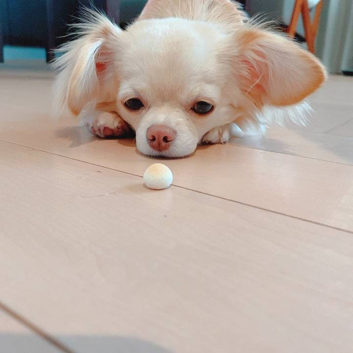 81eebb46 9446 4391 a3a7 ed3600287dd6 1618463928835