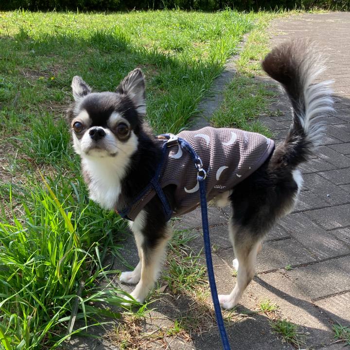 81eef576 d3cd 44a9 b7ab f4696d44cc92 1682782277991