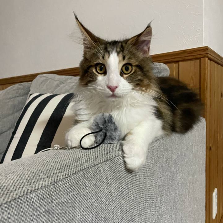 81eefbb0 42e6 4d04 86b9 dc0ff53ec9e5 1636408013537