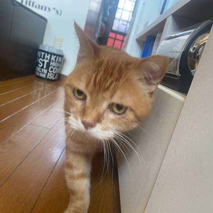 81ef246b 218f 421f 9f57 4eb610274c5f 1717812376445