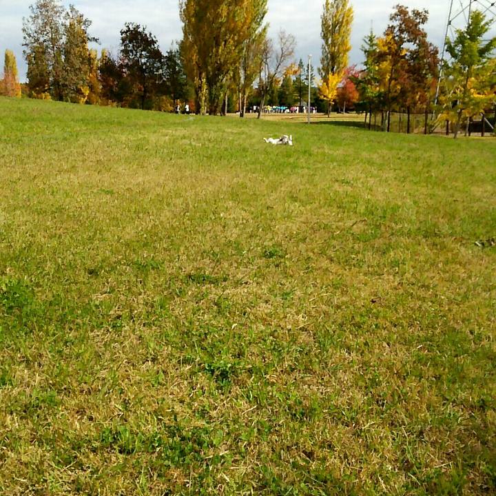 81ef4402 d598 473a 9fd9 b48c92727cd3 1510464902824