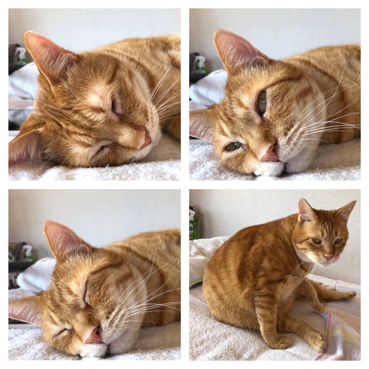 81ef4d87 7a91 44c5 b6f3 95fe160648ea 1587113261551