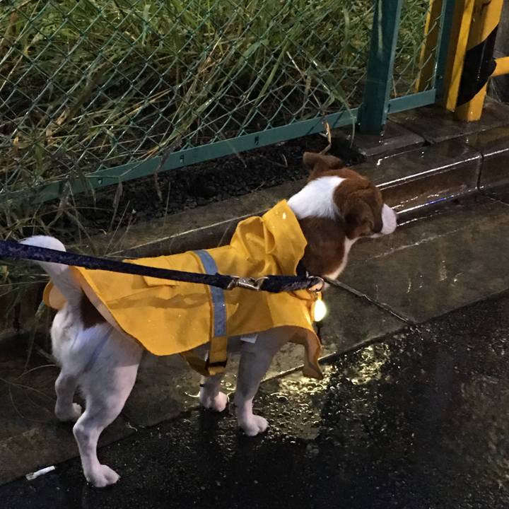 81efcd96 3b19 40c1 a30d 4b32a7ff1c54 1508717811256