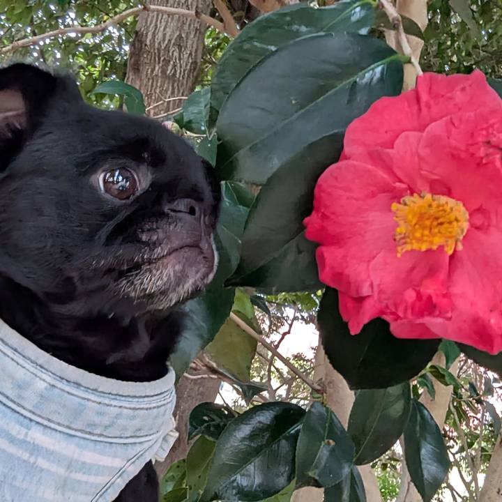 81efcdd6 8bb1 4e61 a42e 7517f2f6d83d 1774793468163