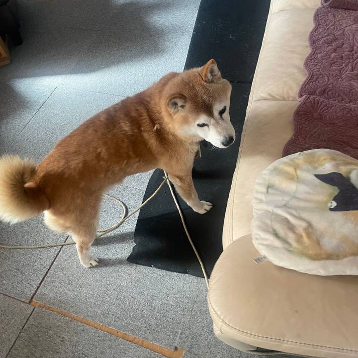 81efe159 a291 42d3 8a9e 54c8e1ca1894 1706497437385