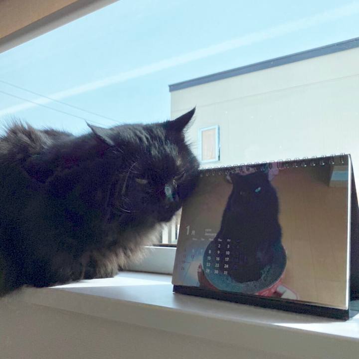 81f025a9 b8e2 44ec 9b62 0d3ee3ca9084 1579251641105