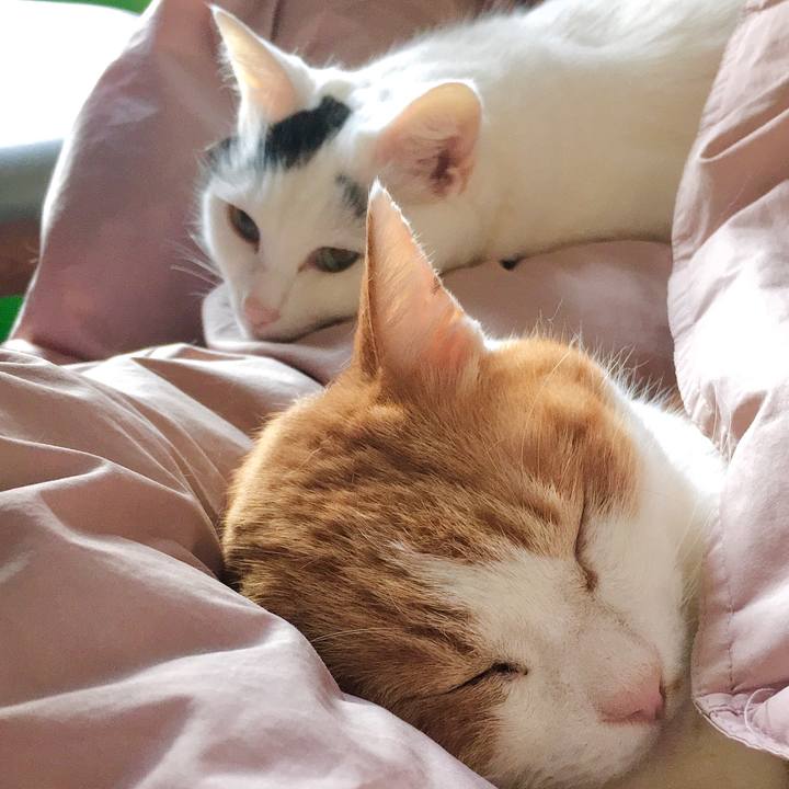 81f0312c 0408 4243 8e38 7ffec9d3e23e 1610264402996