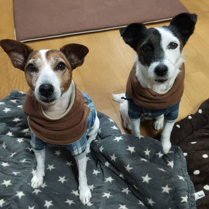 81f03d21 22d6 43ab a54c 78f2889acbfe 1767565912927