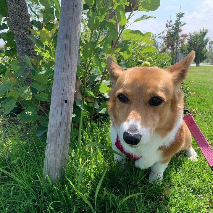 81f05ab4 6278 4a1c 8e0d 552364a63441 1653393486823