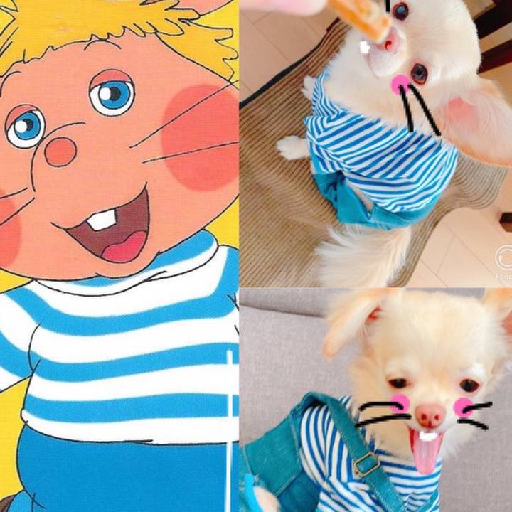 81f06a2b cf6b 472e 8264 29ce47642f06 1631590950999