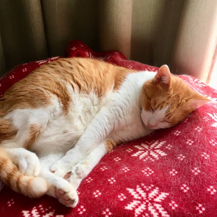 81f0ad5b 50cb 4175 8b2a 8e9822f6d618 1570793356604