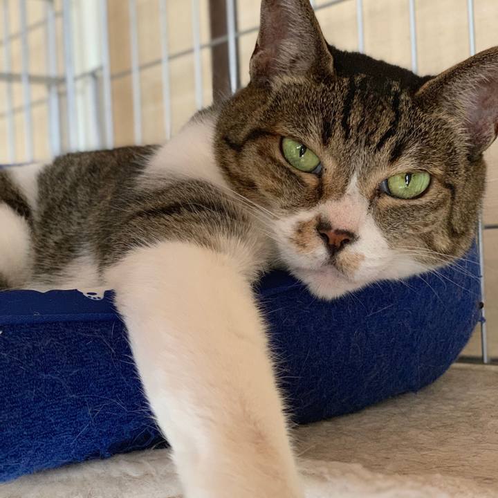 81f0af6c 9257 439b bb91 027510d1c2c3 1566174138035