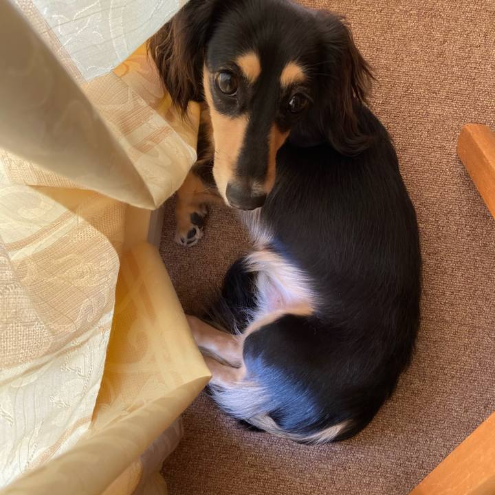 81f0c82c b27d 497c bec3 d4293425ecab 1696990822701