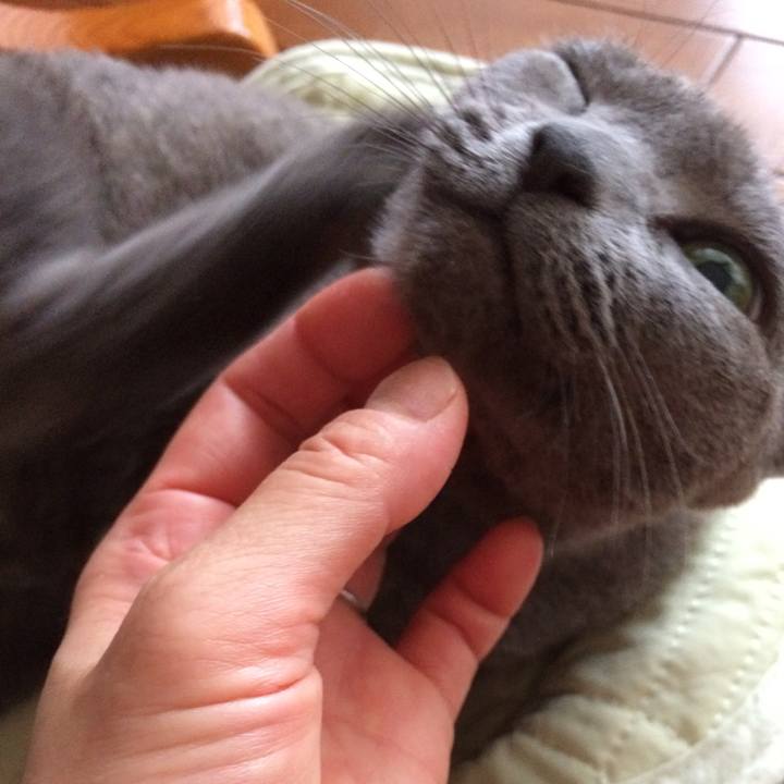 81f0ff9b c97f 4736 bd54 dc4855707214 1532557770462