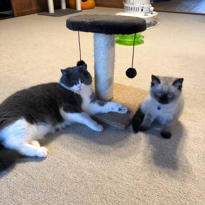 81f104dc 0a2e 4bfd bc35 22f784a3f935 1587097615007