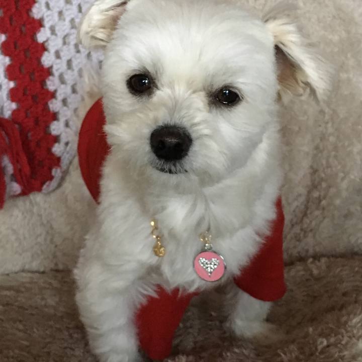 81f109d1 2084 458c befb 65b9b57607bd 1517913628599