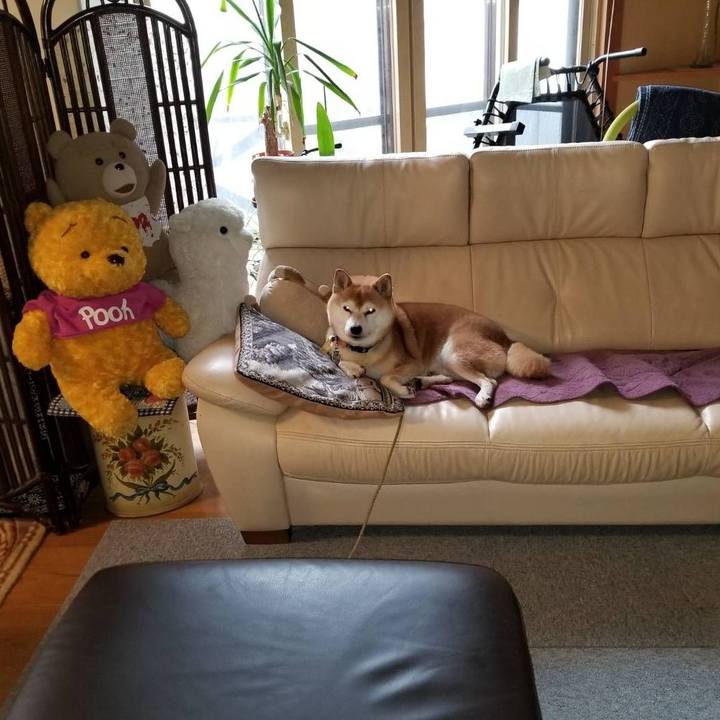 81f1534a 7c7a 4950 a5e9 6b67c3df0c16 1572136883623