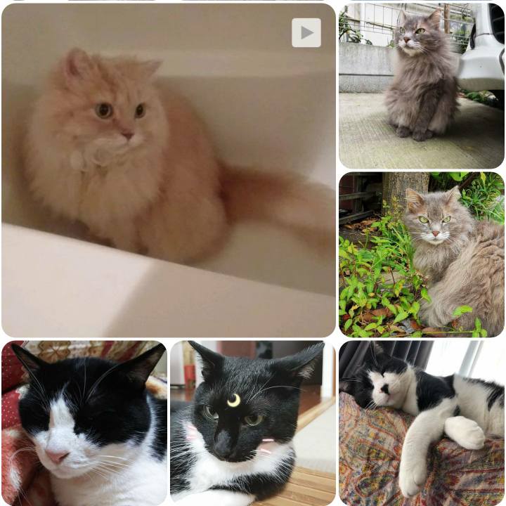 81f165a2 ae89 4120 acc6 9a455dd296d7 1562918241297