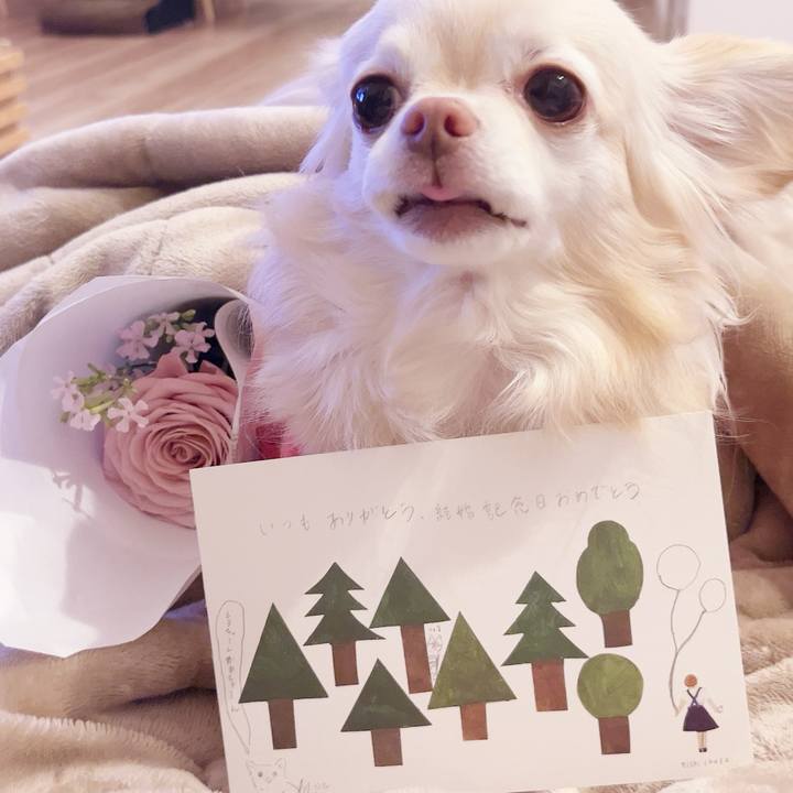 81f18430 5225 4f31 bb8e 6539df8d60c5 1739266356418