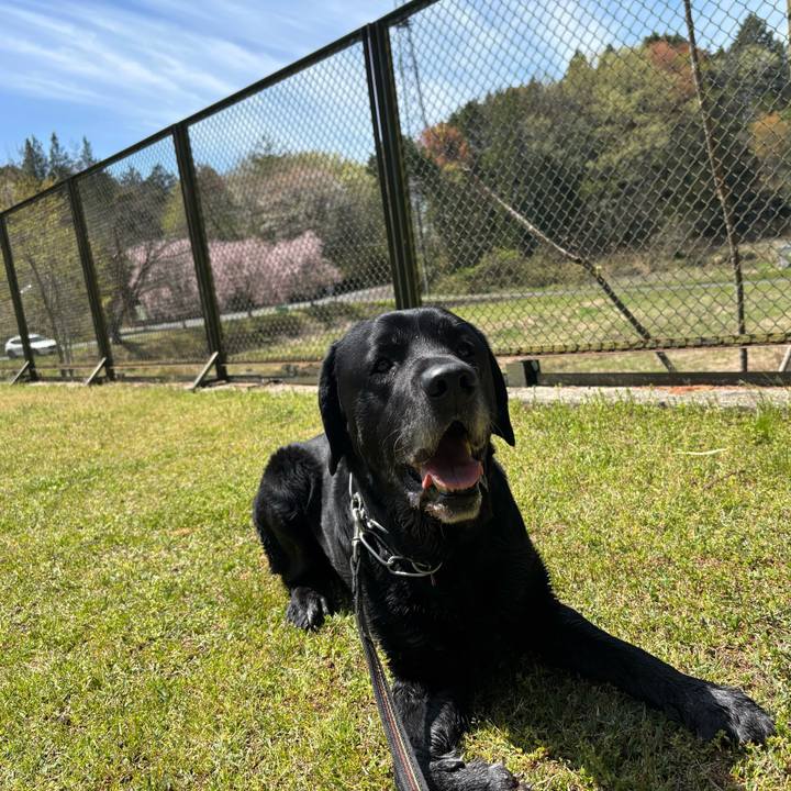 81f18f46 cda7 4dc0 891d 44966b221738 1776260555889