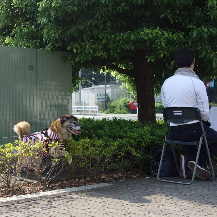 81f1f2e9 ef91 46a5 8b77 75332d7b63fb 1754353449039