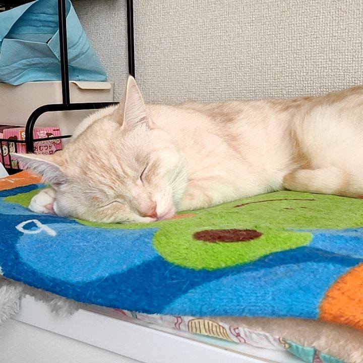 81f22873 97f0 405e 9657 40b1ca051b62 1676453570944